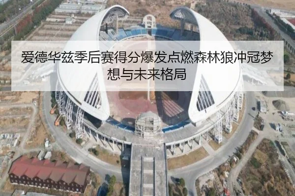 爱德华兹季后赛得分爆发点燃森林狼冲冠梦想与未来格局